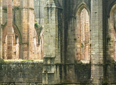 Fountains Abbey